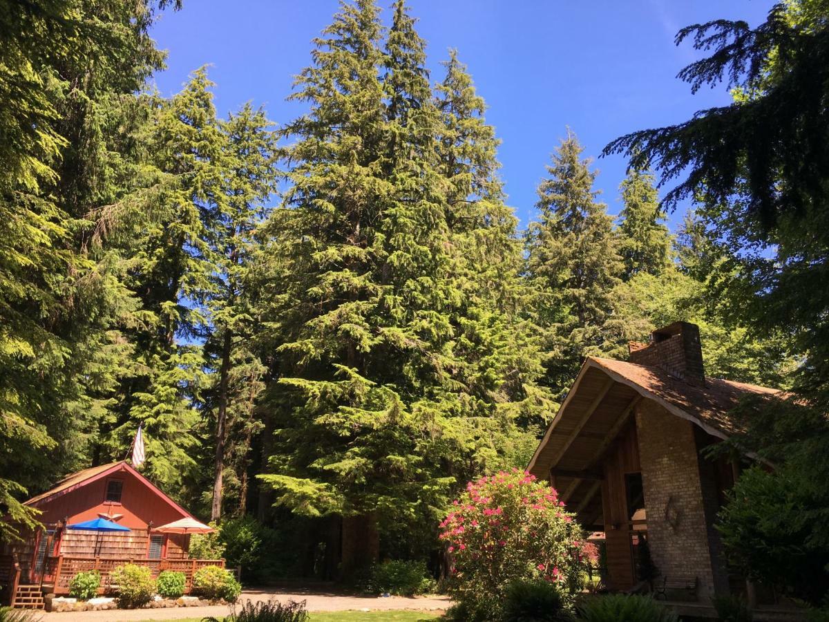 Manitou Lodge Forks Bagian luar foto
